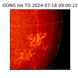 gong - 2024-07-18T09:00:22