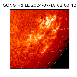 gong - 2024-07-18T01:00:42