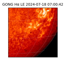 gong - 2024-07-18T07:00:42