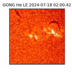 gong - 2024-07-18T02:00:42