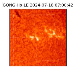 gong - 2024-07-18T07:00:42