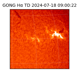 gong - 2024-07-18T09:00:22