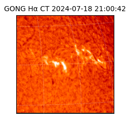 gong - 2024-07-18T21:00:42