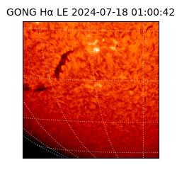gong - 2024-07-18T01:00:42