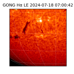 gong - 2024-07-18T07:00:42