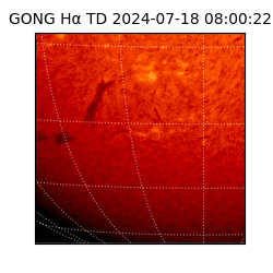gong - 2024-07-18T08:00:22