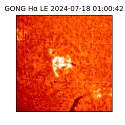 gong - 2024-07-18T01:00:42