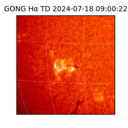 gong - 2024-07-18T09:00:22