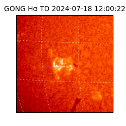 gong - 2024-07-18T12:00:22