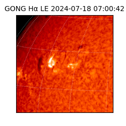 gong - 2024-07-18T07:00:42