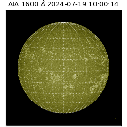 saia - 2024-07-19T10:00:14.126000