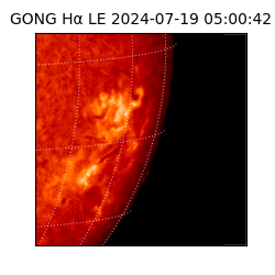 gong - 2024-07-19T05:00:42