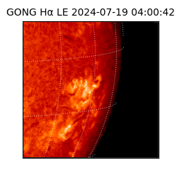 gong - 2024-07-19T04:00:42