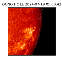 gong - 2024-07-19T05:00:42