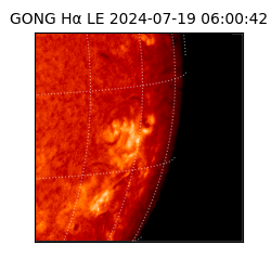 gong - 2024-07-19T06:00:42