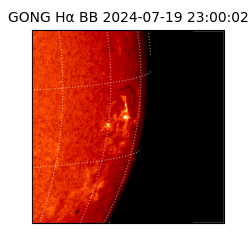 gong - 2024-07-19T23:00:02