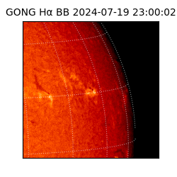gong - 2024-07-19T23:00:02