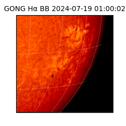 gong - 2024-07-19T01:00:02