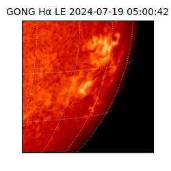 gong - 2024-07-19T05:00:42