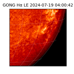 gong - 2024-07-19T04:00:42