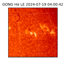 gong - 2024-07-19T04:00:42