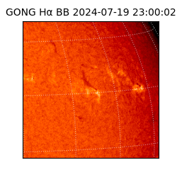 gong - 2024-07-19T23:00:02