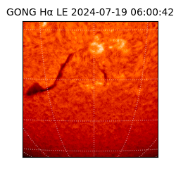 gong - 2024-07-19T06:00:42