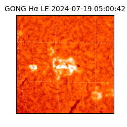 gong - 2024-07-19T05:00:42