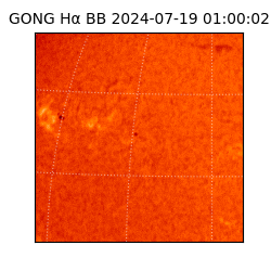 gong - 2024-07-19T01:00:02