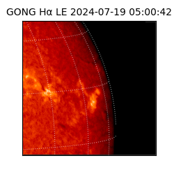 gong - 2024-07-19T05:00:42