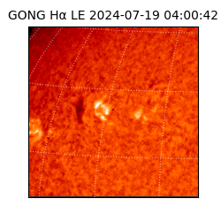 gong - 2024-07-19T04:00:42