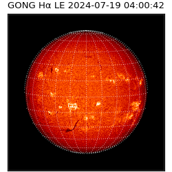 gong - 2024-07-19T04:00:42