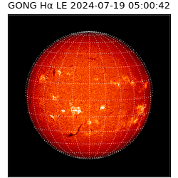 gong - 2024-07-19T05:00:42