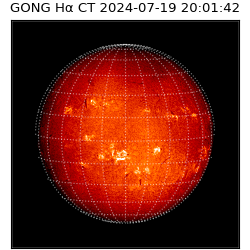 gong - 2024-07-19T20:01:42