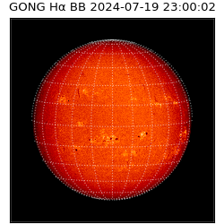 gong - 2024-07-19T23:00:02