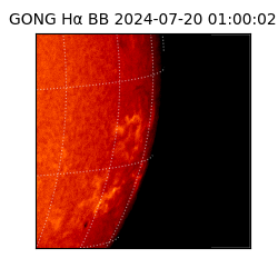 gong - 2024-07-20T01:00:02