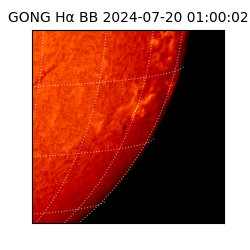 gong - 2024-07-20T01:00:02