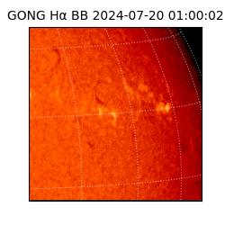 gong - 2024-07-20T01:00:02