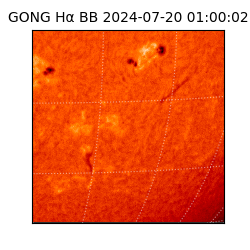 gong - 2024-07-20T01:00:02