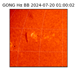 gong - 2024-07-20T01:00:02