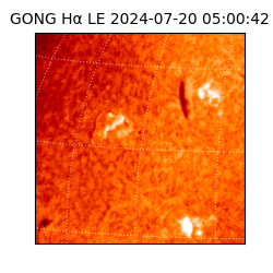 gong - 2024-07-20T05:00:42