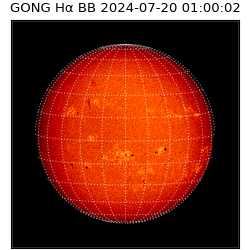 gong - 2024-07-20T01:00:02