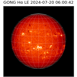 gong - 2024-07-20T06:00:42