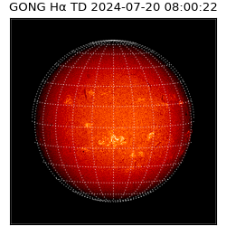 gong - 2024-07-20T08:00:22
