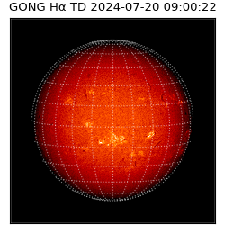 gong - 2024-07-20T09:00:22