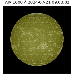 saia - 2024-07-21T09:03:02.126000