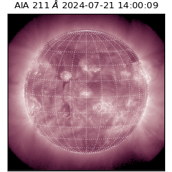 saia - 2024-07-21T14:00:09.639000