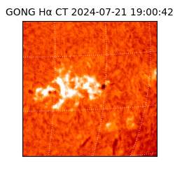 gong - 2024-07-21T19:00:42