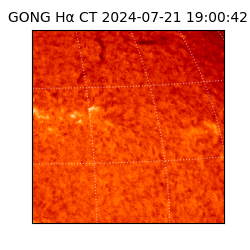 gong - 2024-07-21T19:00:42