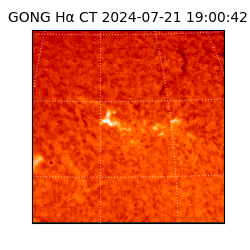 gong - 2024-07-21T19:00:42